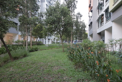 Blk 336C Yishun Street 31 (Yishun), HDB 5 Rooms #184107832